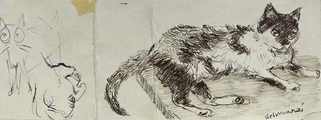Quadro di Nino Tirinnanzi Dittico gatto + figura - penna biro carta 